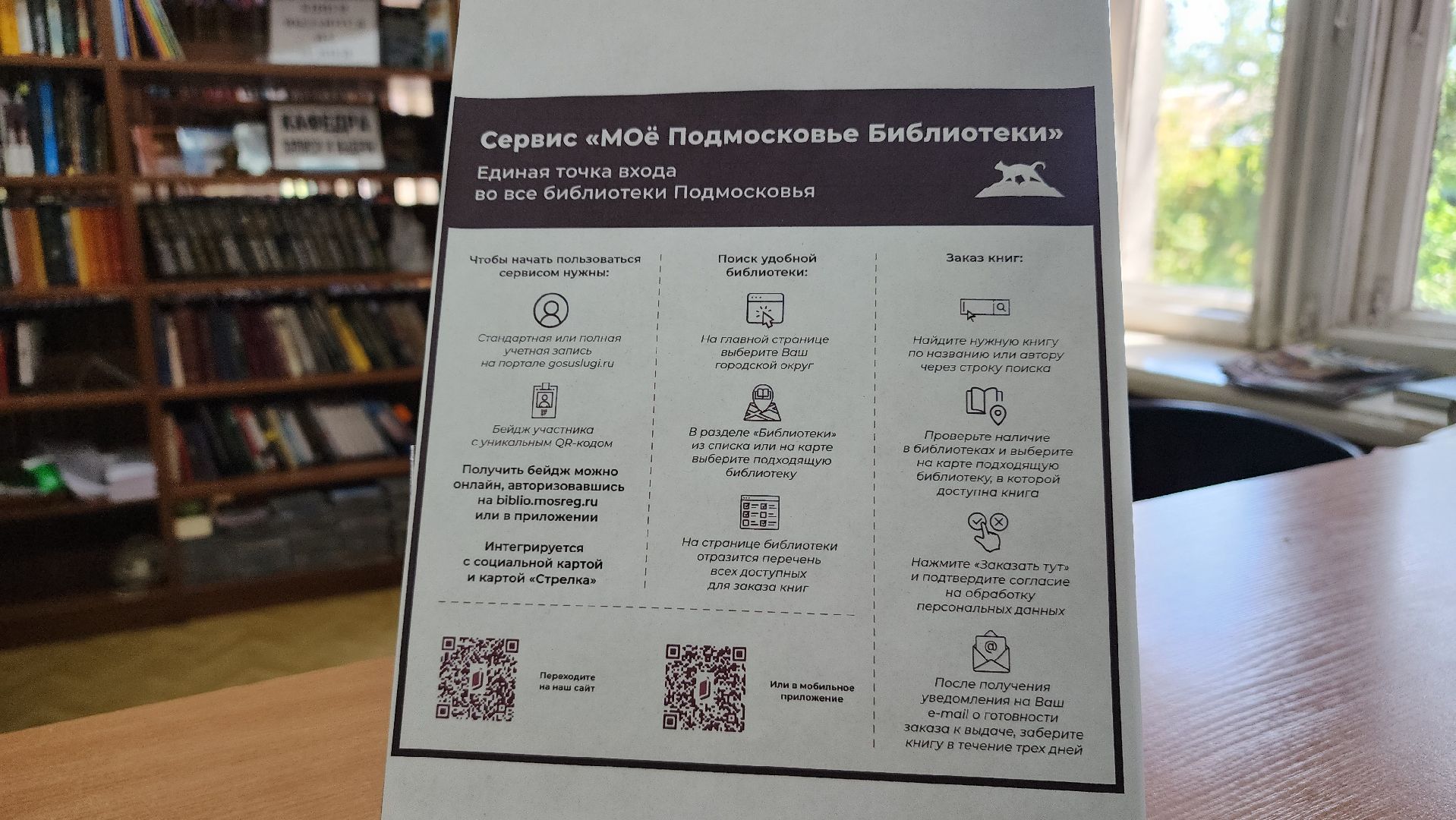 библиотека, Мое Подмосковье, Лосино-Петровский,