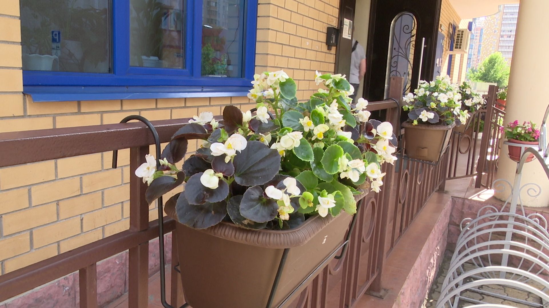 Реутов, благоустройство, конкурс главы, лучший дом, лучший двор, лучший подъезд,выбирай лучшее,