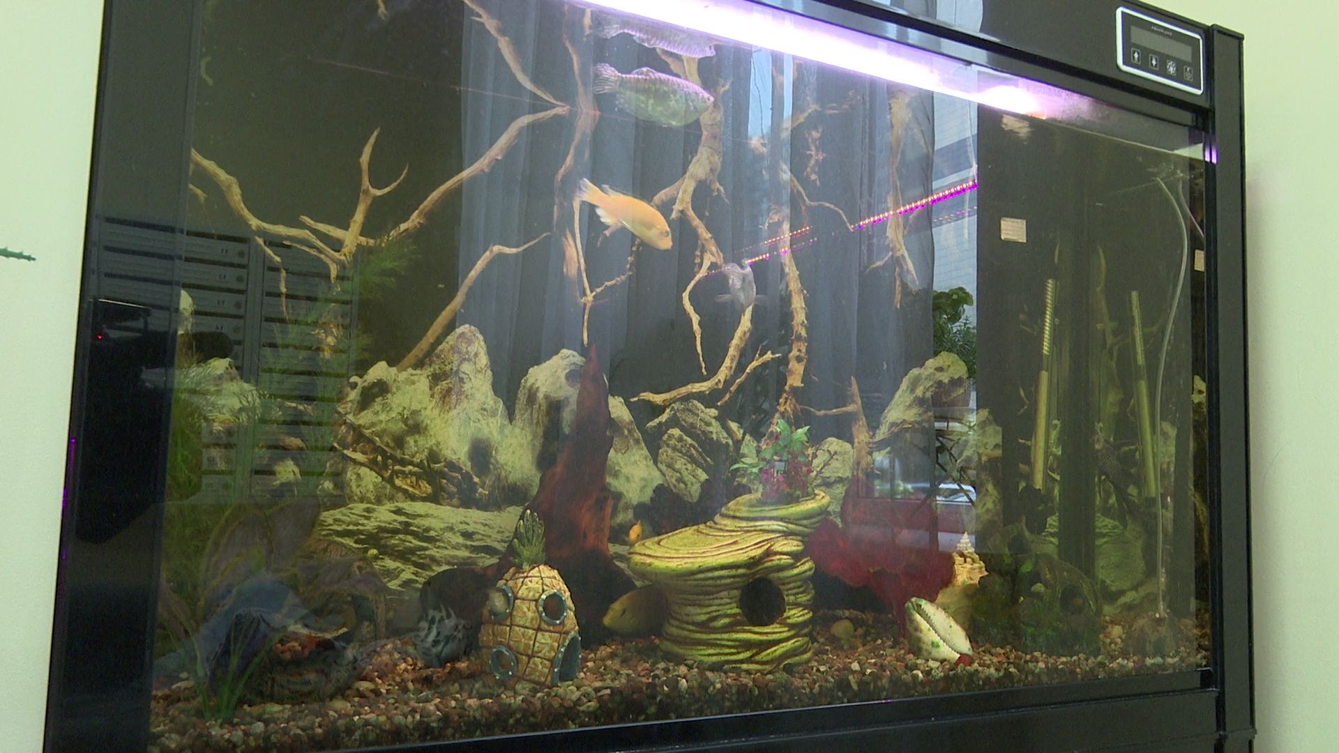 Реутов, благоустройство, конкурс главы, лучший дом, лучший двор, лучший подъезд,выбирай лучшее,