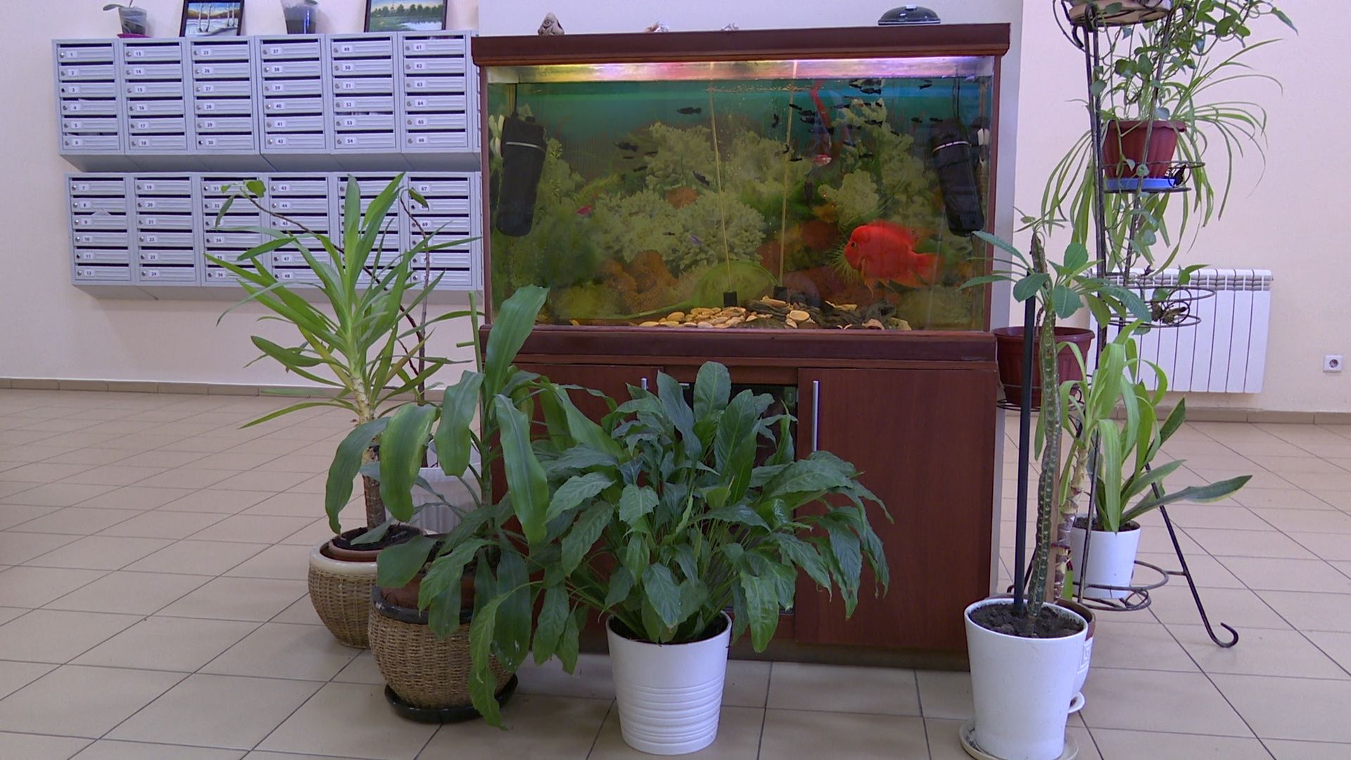 Реутов, благоустройство, конкурс главы, лучший дом, лучший двор, лучший подъезд,выбирай лучшее,