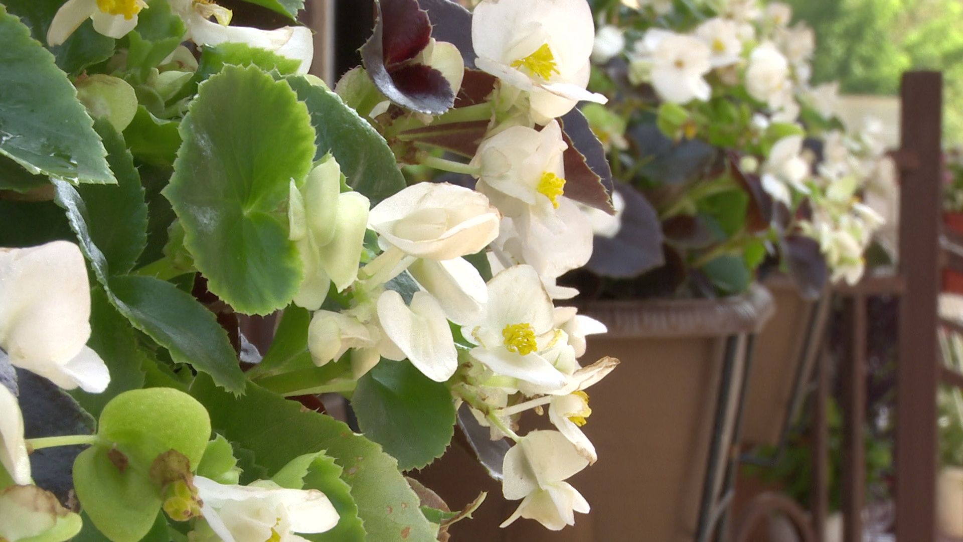 Реутов, благоустройство, конкурс главы, лучший дом, лучший двор, лучший подъезд,выбирай лучшее,