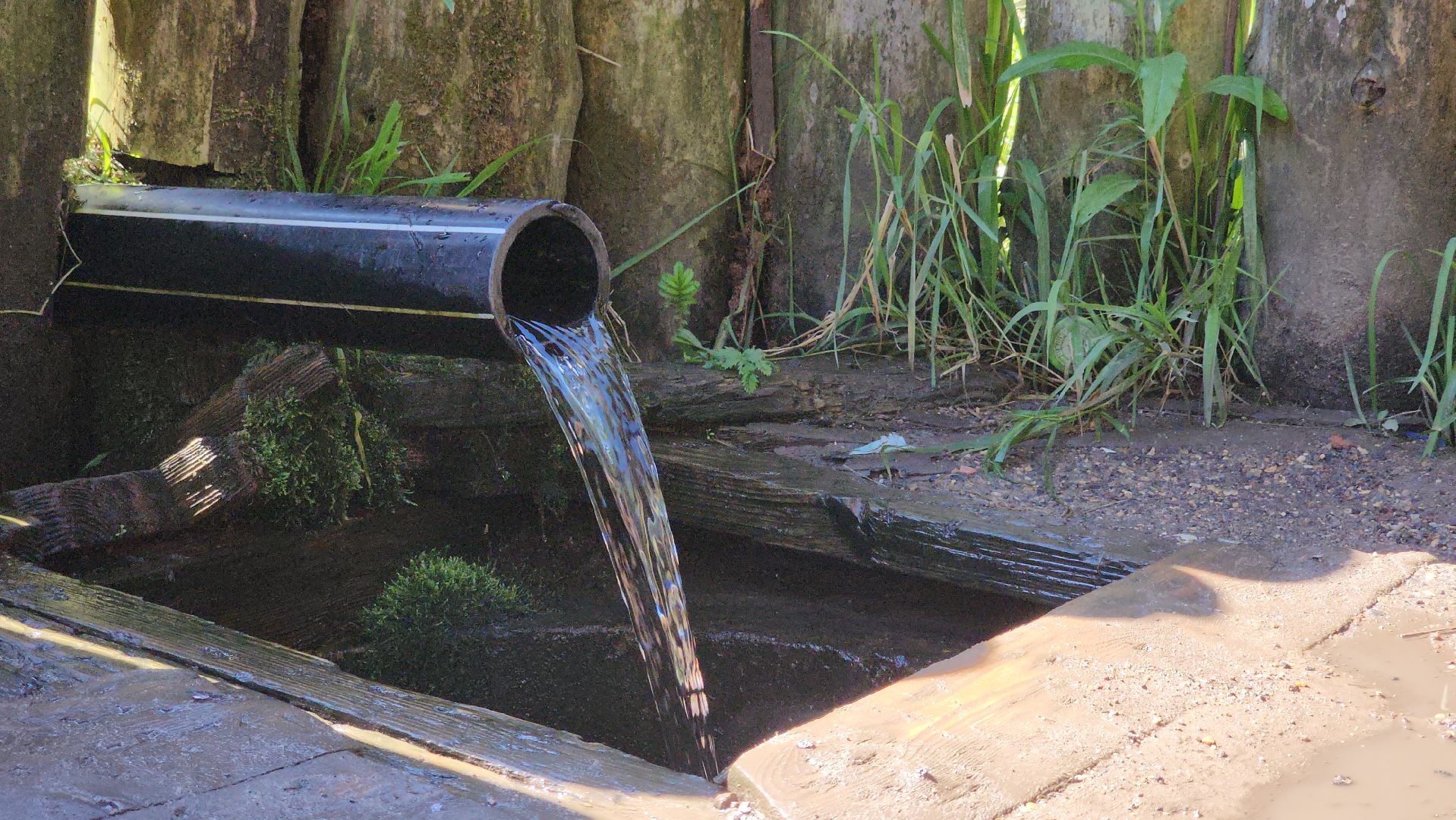 благоустройство, родник, Лосино-Петровский,