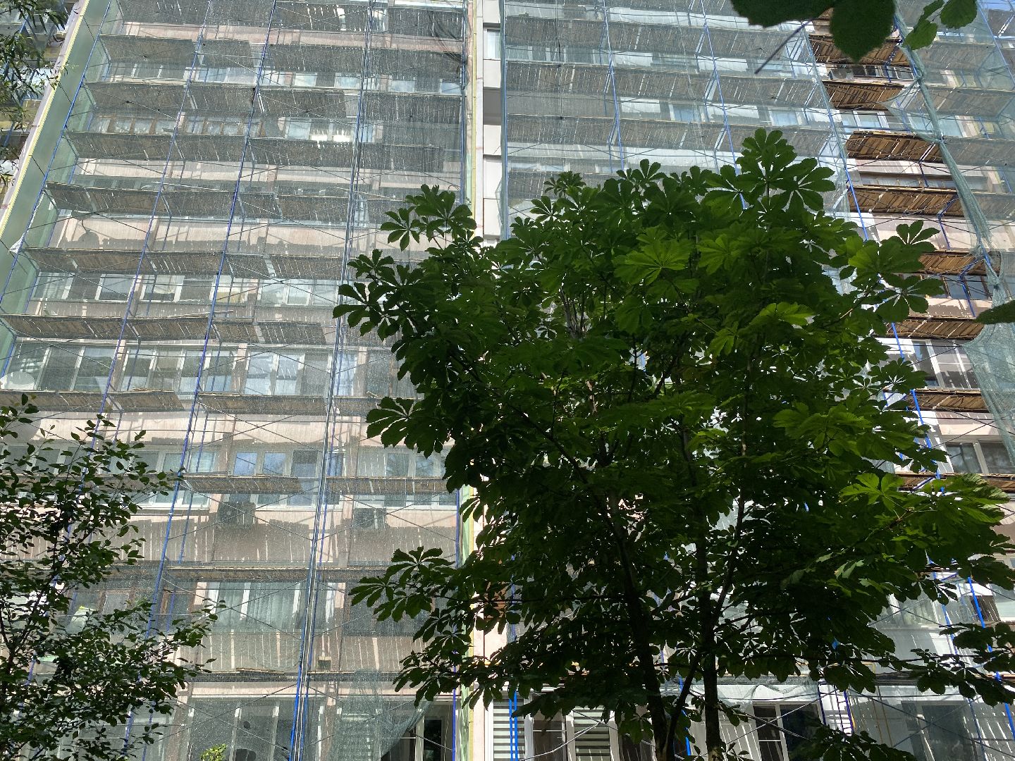 Капитальный ремонт домов, капремонт домов Власиха, Власиха Заозерная, суф термоленд, фонд капитального ремонта мо,