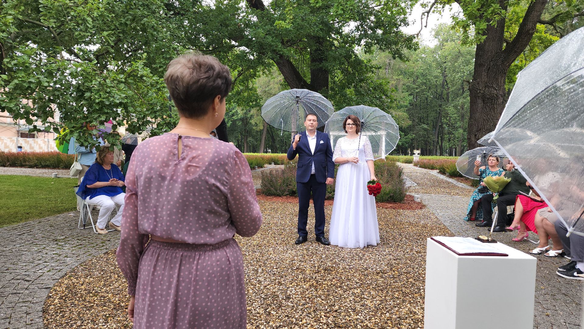 воскресенск, загс, регистрация брака в парке,