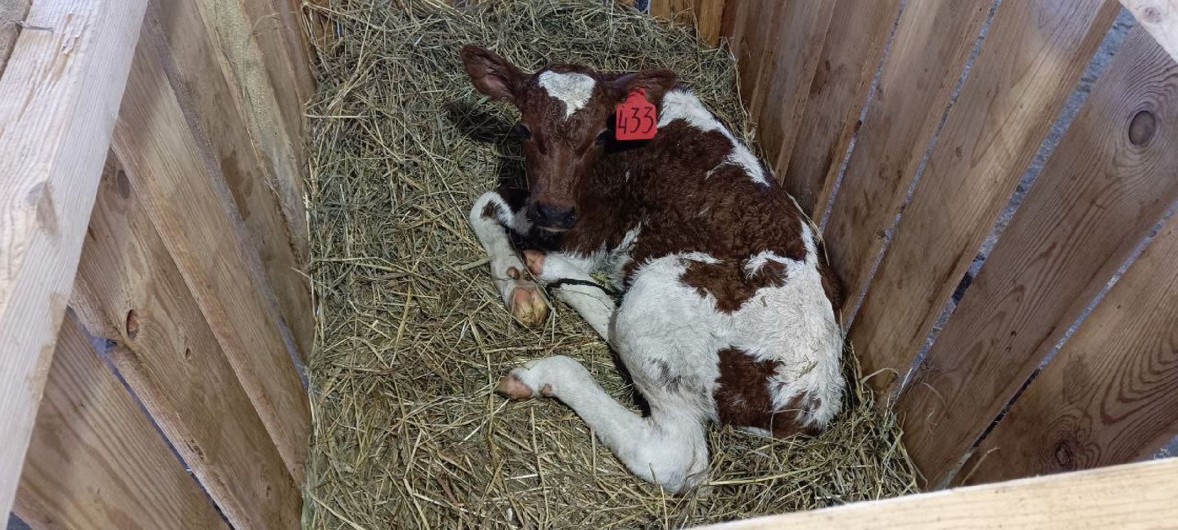 Дмитров, Мосагрофуд, Минсельхоз,