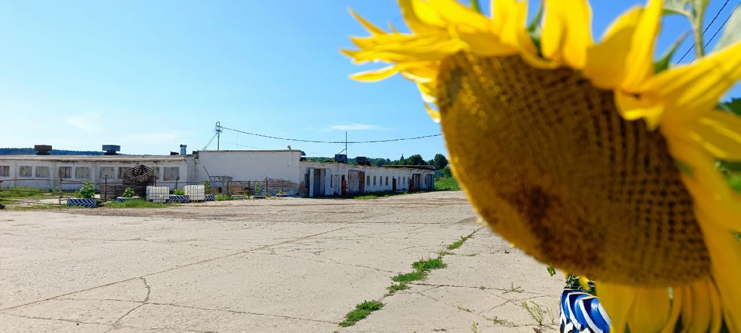 Дмитров, Мосагрофуд, Минсельхоз,