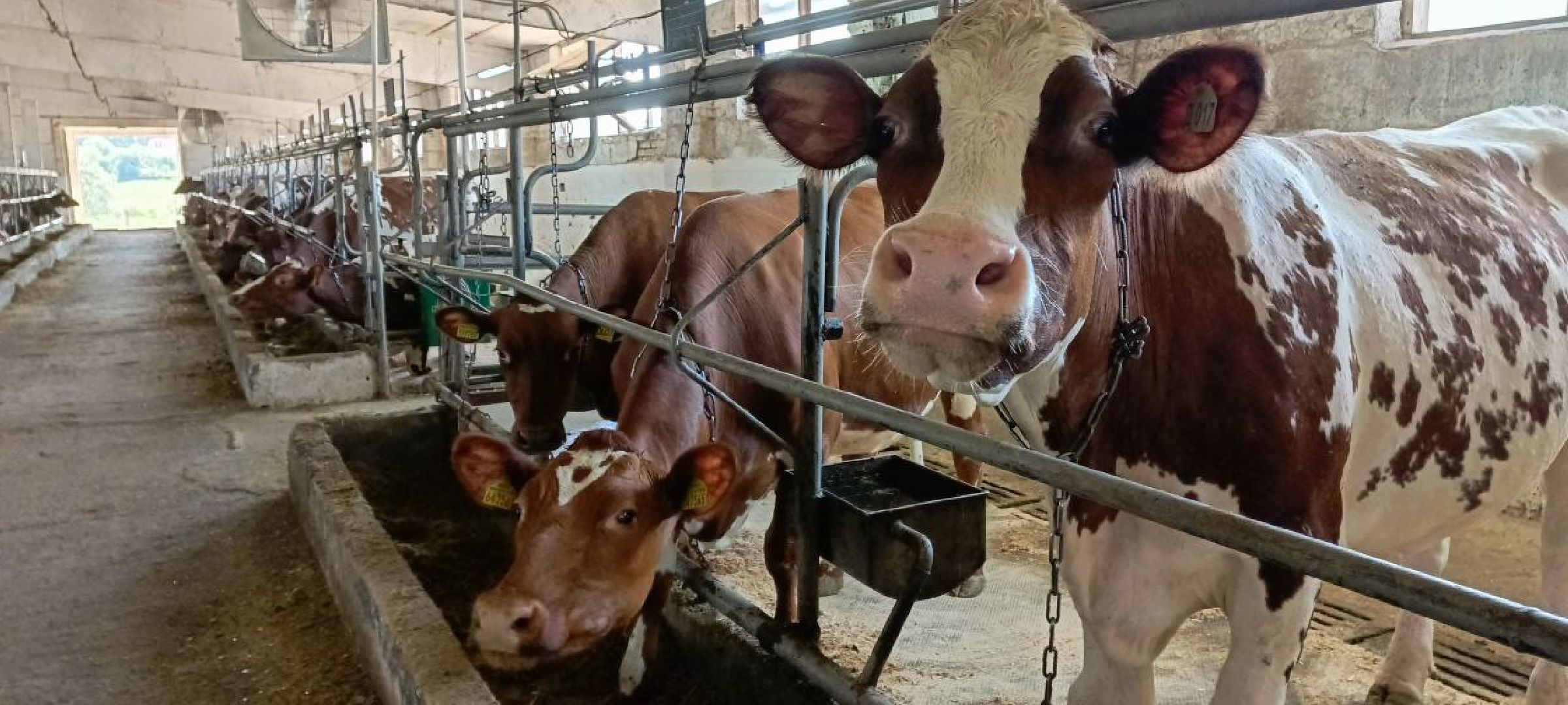 Дмитров, Мосагрофуд, Минсельхоз,