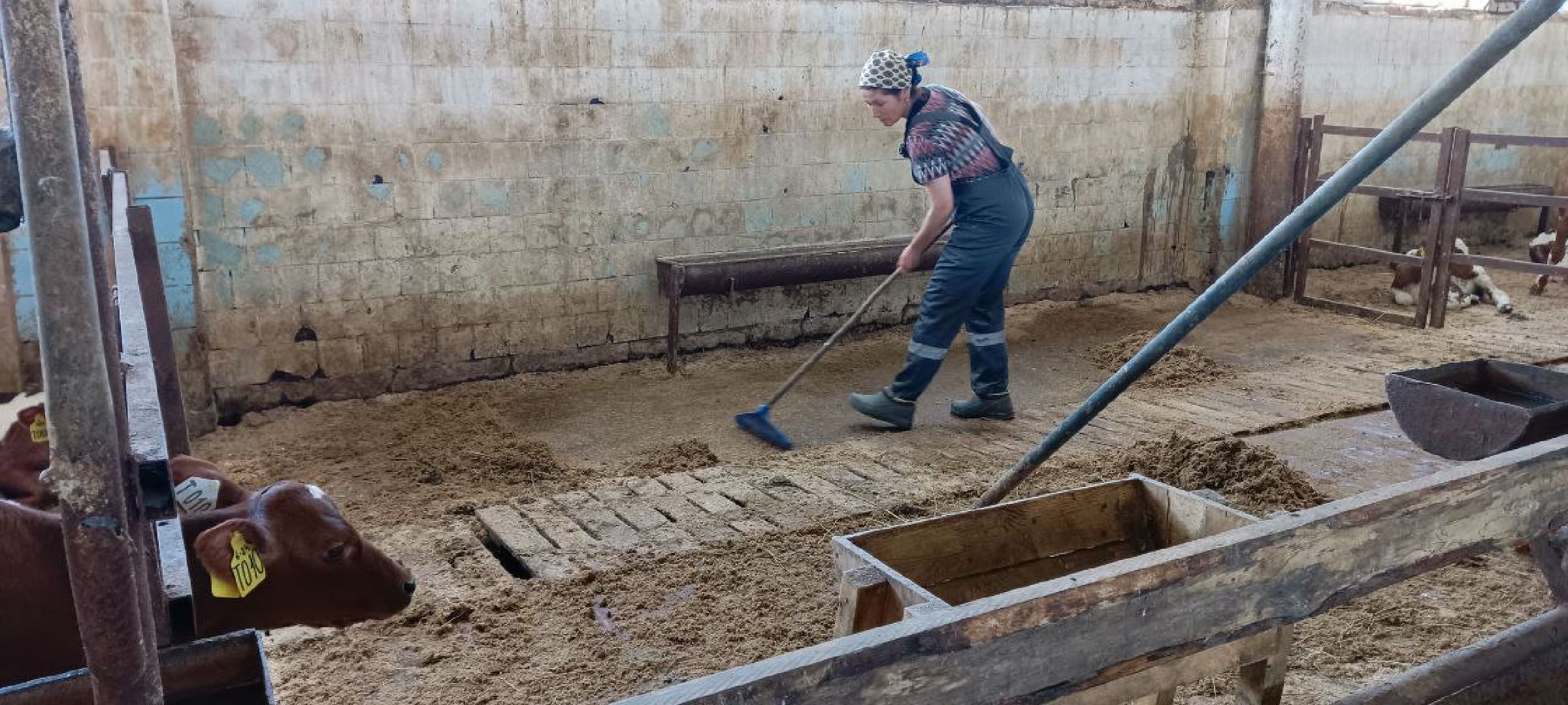 Дмитров, Мосагрофуд, Минсельхоз,