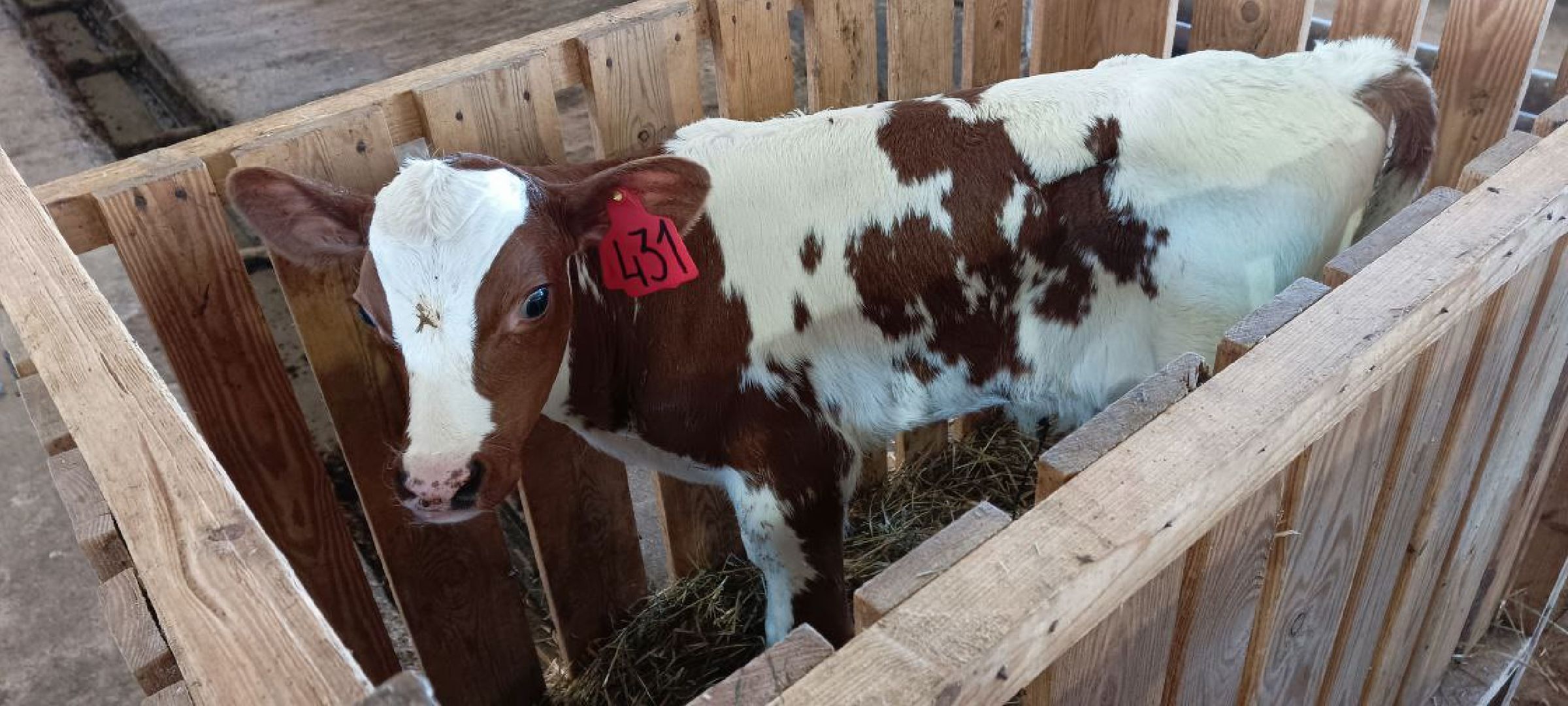 Дмитров, Мосагрофуд, Минсельхоз,