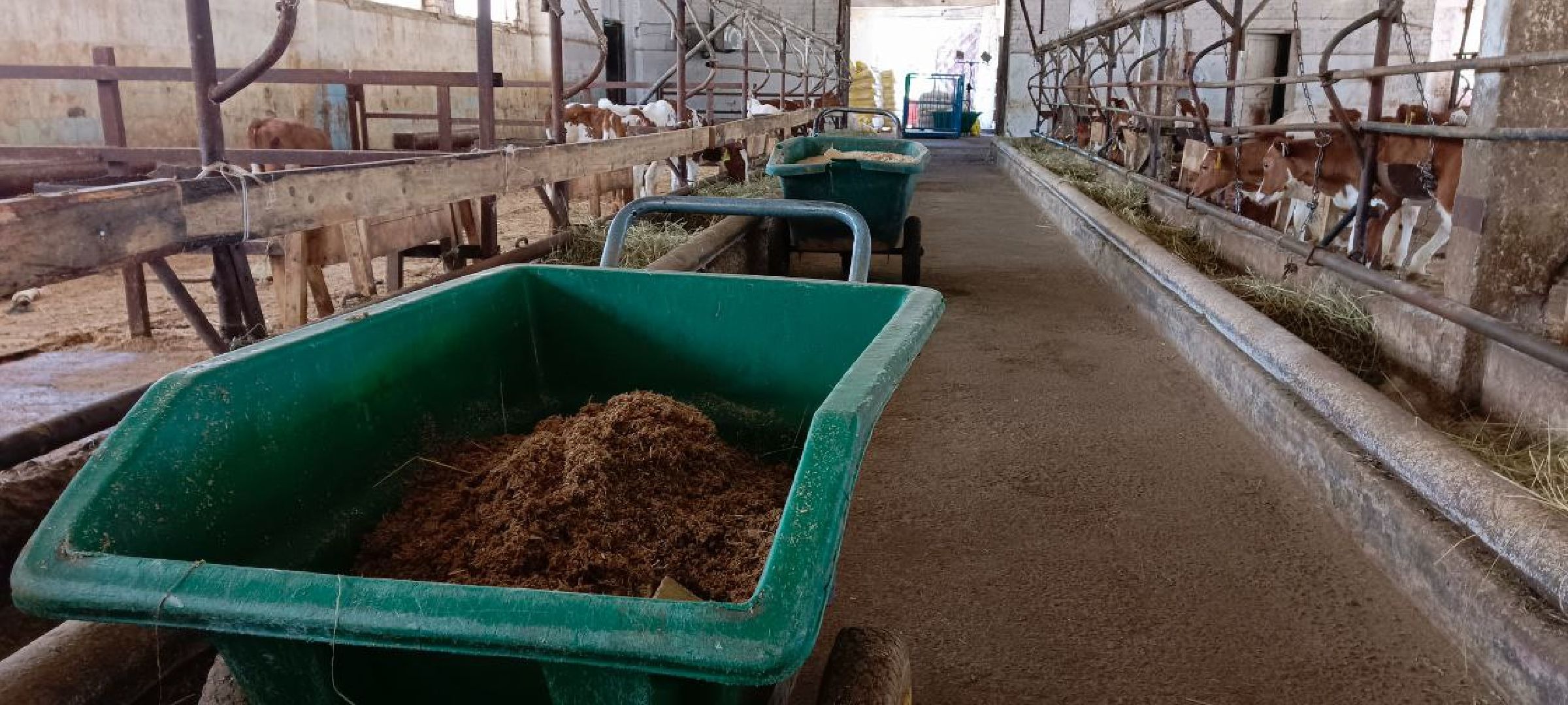 Дмитров, Мосагрофуд, Минсельхоз,