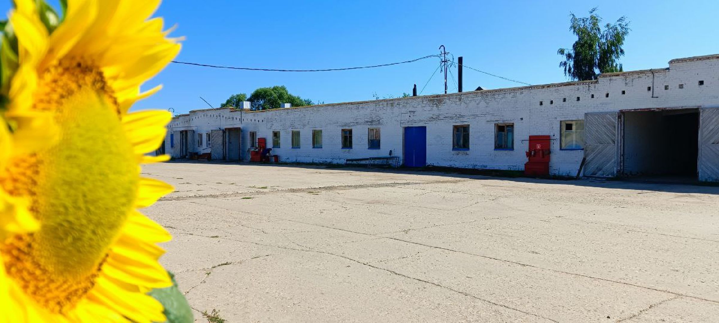 Дмитров, Мосагрофуд, Минсельхоз,