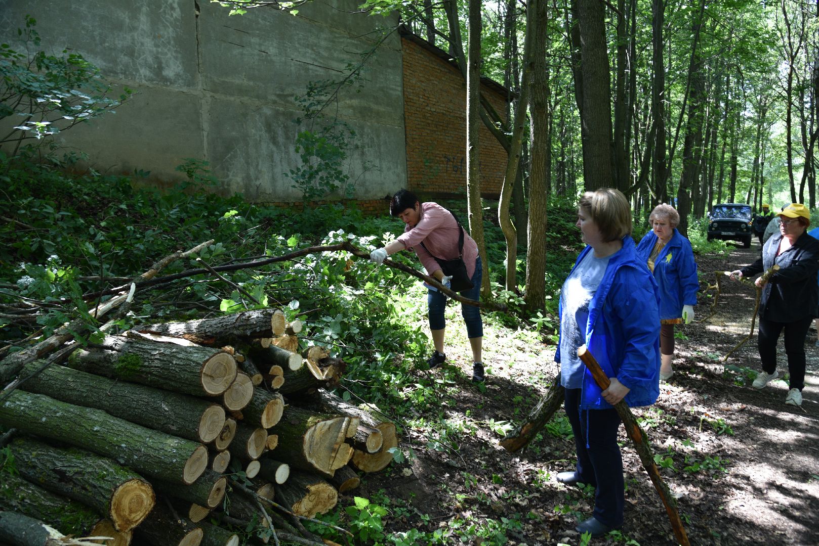 лотошино, чистый лес, экология, акция, экологическая акция, депутат мособлдумы,