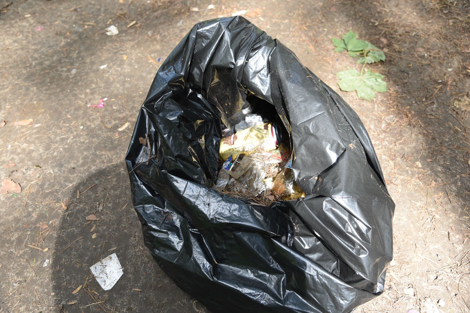 лотошино, чистый лес, экология, акция, экологическая акция, депутат мособлдумы,