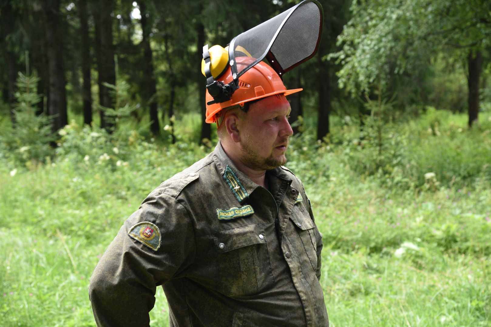 лотошино, чистый лес, экология, акция, экологическая акция, депутат мособлдумы,