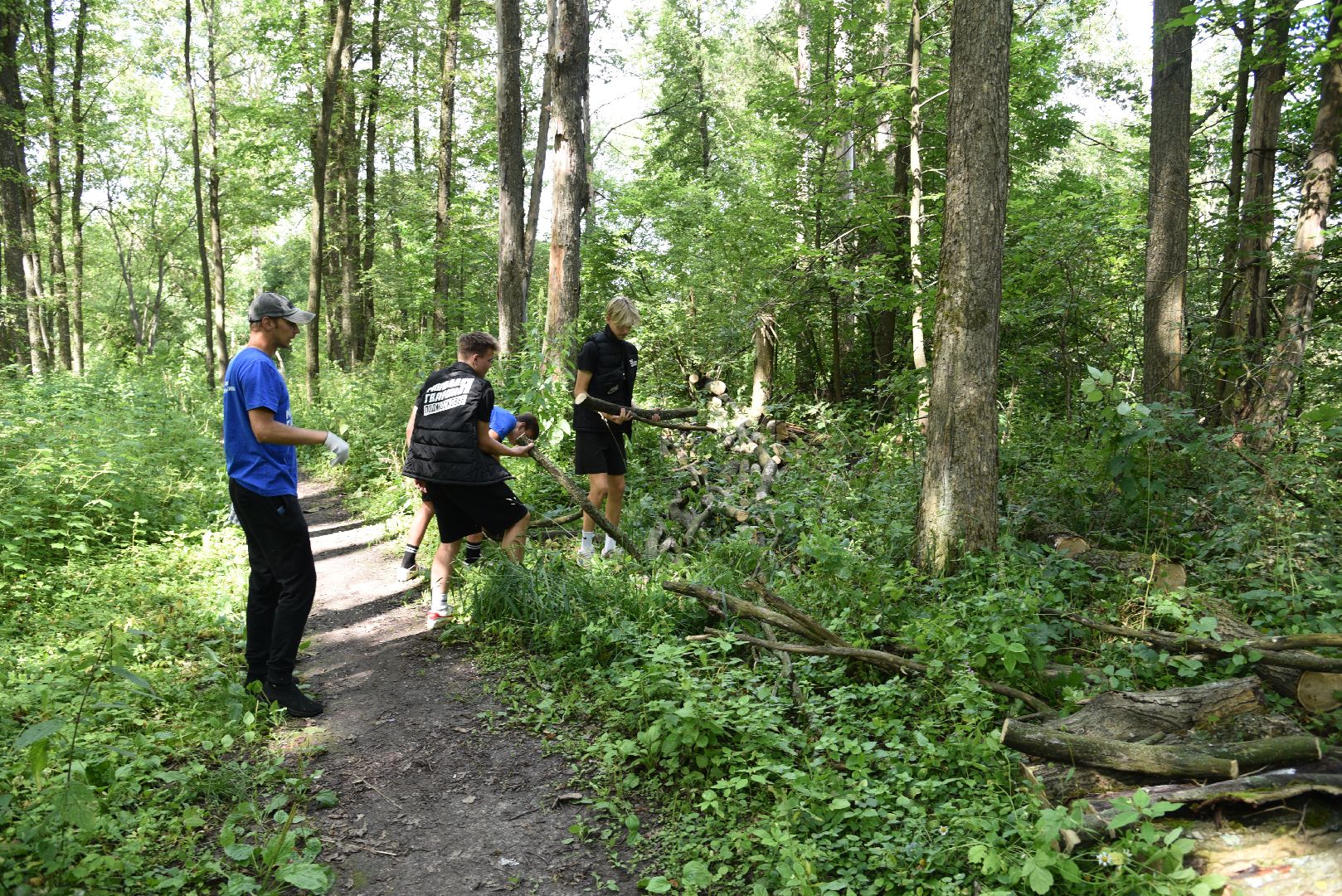 лотошино, чистый лес, экология, акция, экологическая акция, депутат мособлдумы,