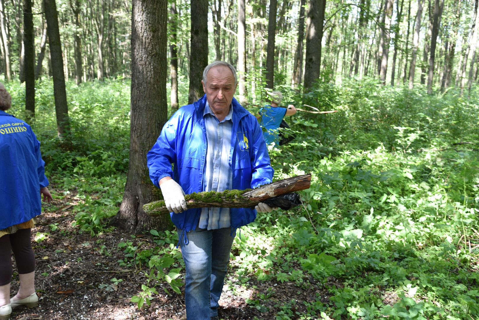лотошино, чистый лес, экология, акция, экологическая акция, депутат мособлдумы,