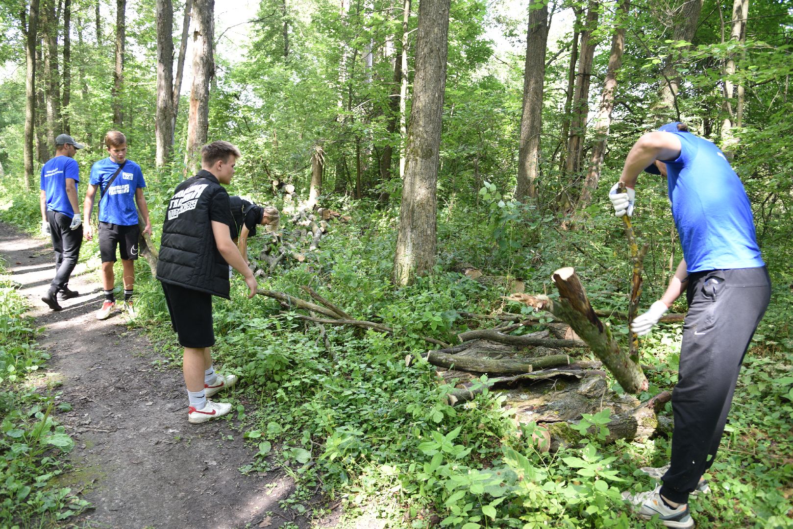 лотошино, чистый лес, экология, акция, экологическая акция, депутат мособлдумы,