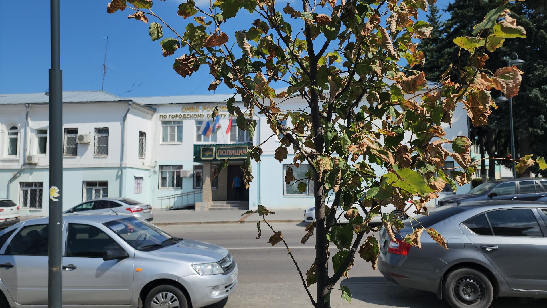 кашира, пешеходная зона, благоустройство, озеленение, липа, деревья, стрелец,