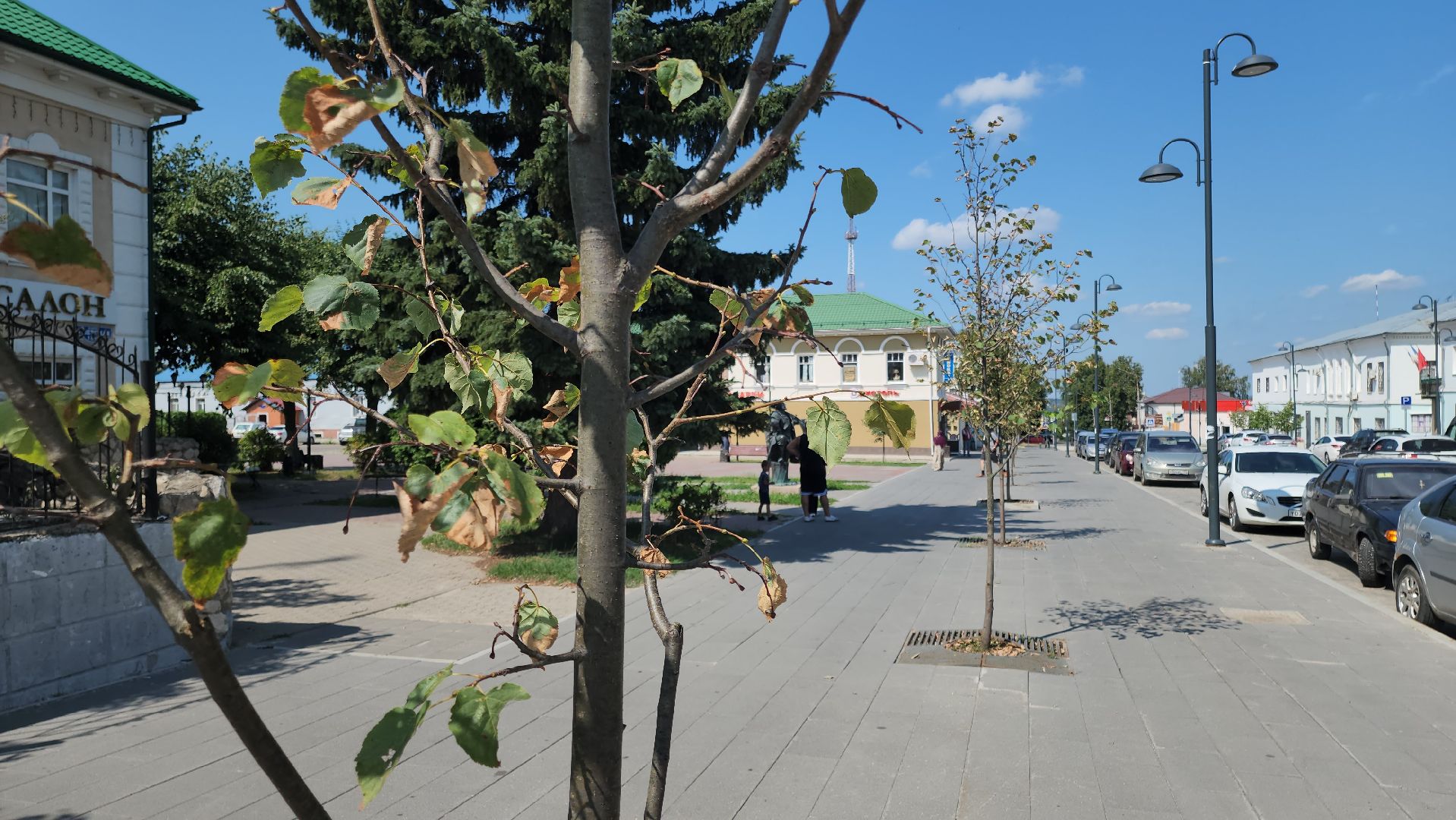 кашира, пешеходная зона, благоустройство, озеленение, липа, деревья, стрелец,