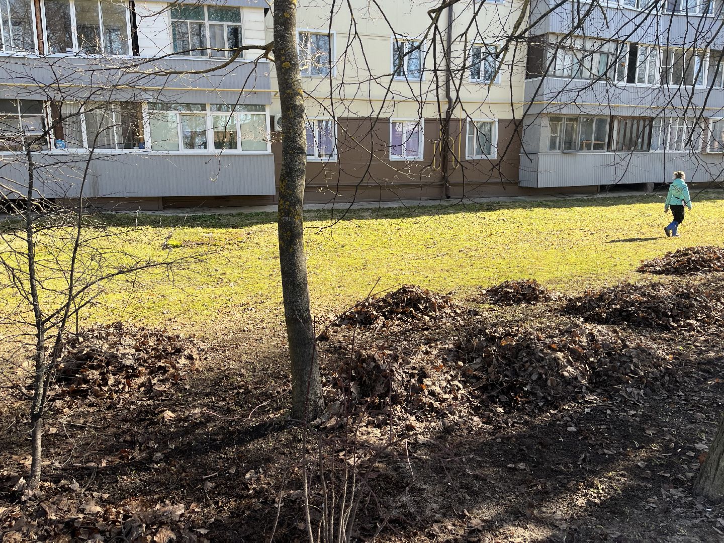 Шаховская, уборка, субботник