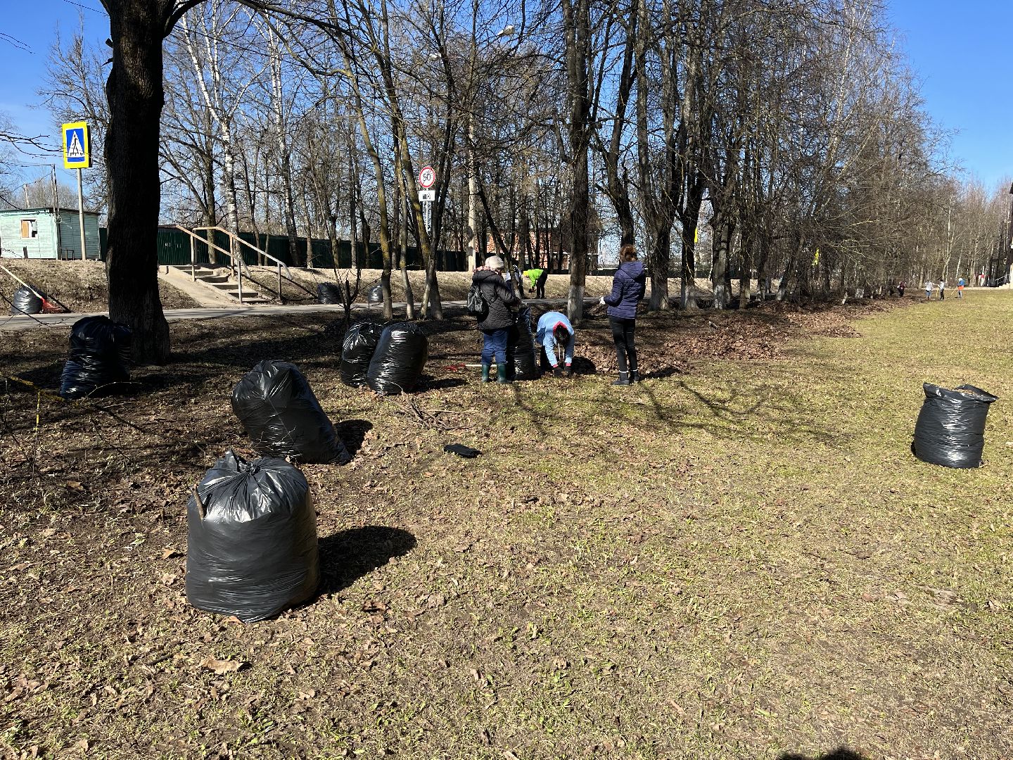 Шаховская, уборка, субботник