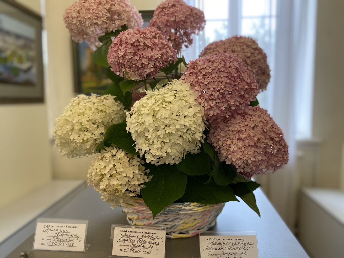 Коломна, дом озерова, выставка цветов, Цветы июля,