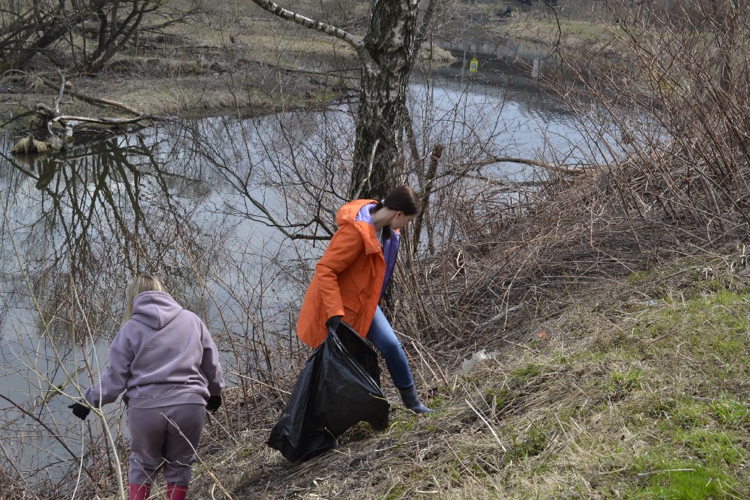 Балашиха, общество