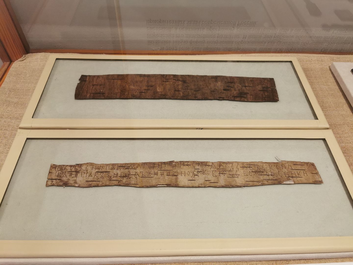 культура, музей, образование