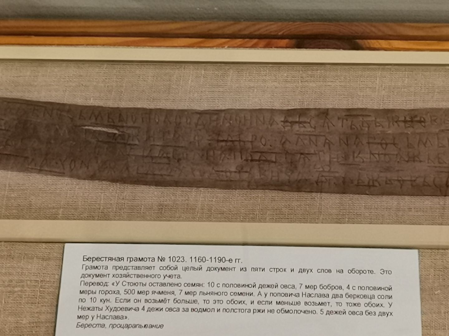 культура, музей, образование