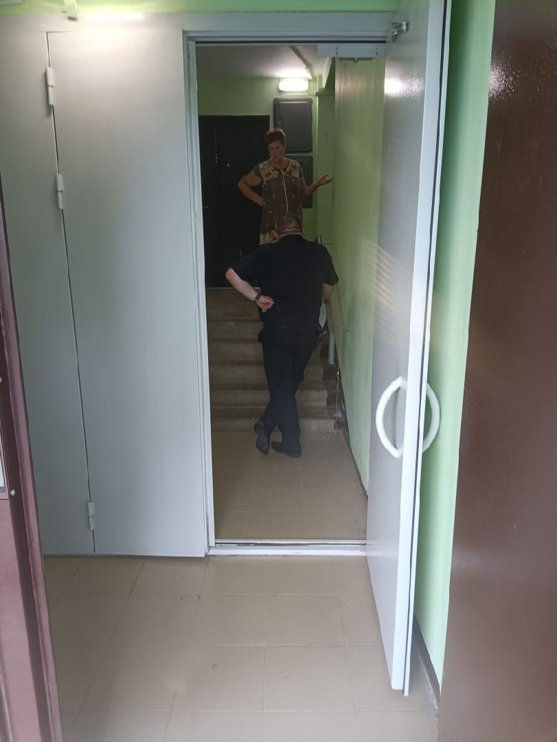 Кошки, Полиция, Лобня, Жестокое обращение с животными,