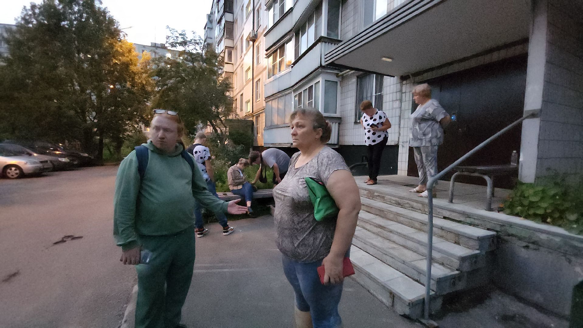 Кошки, Полиция, Лобня, Жестокое обращение с животными,