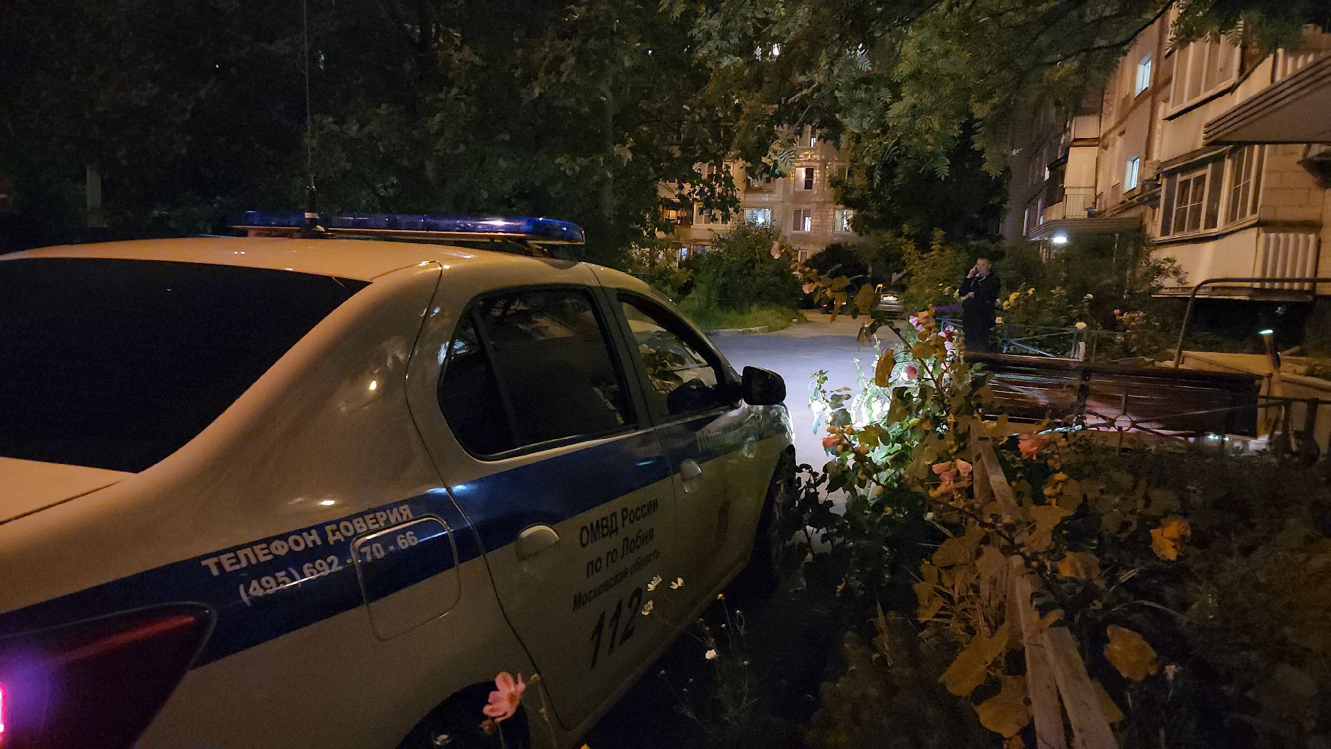 Кошки, Полиция, Лобня, Жестокое обращение с животными,