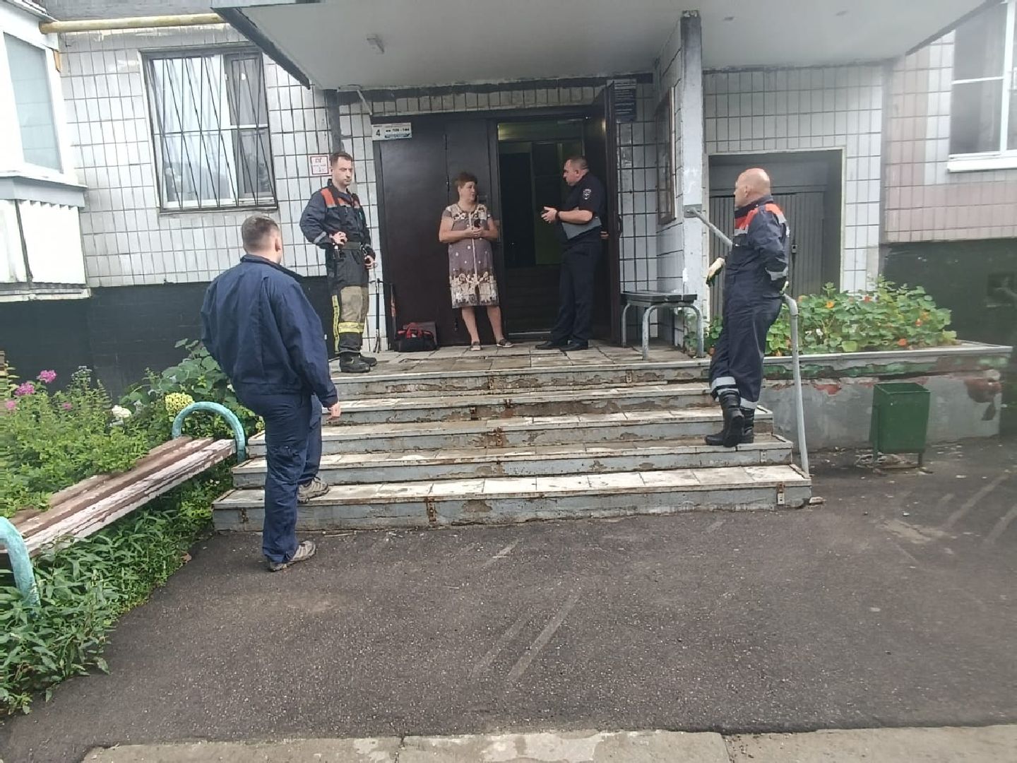 Кошки, Полиция, Лобня, Жестокое обращение с животными,