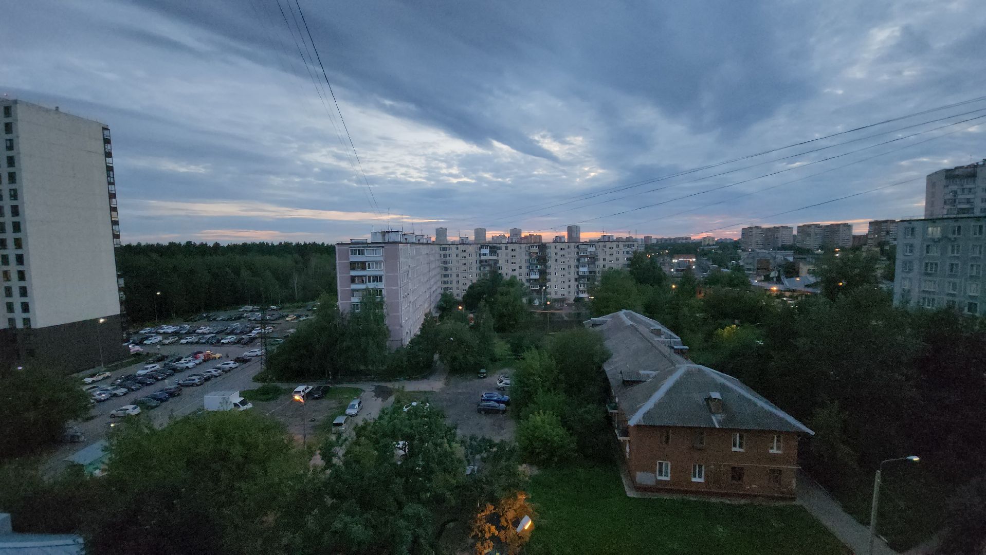 Кошки, Полиция, Лобня, Жестокое обращение с животными,