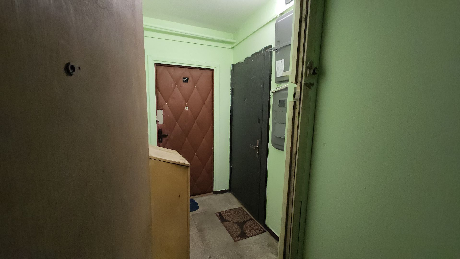 Кошки, Полиция, Лобня, Жестокое обращение с животными,