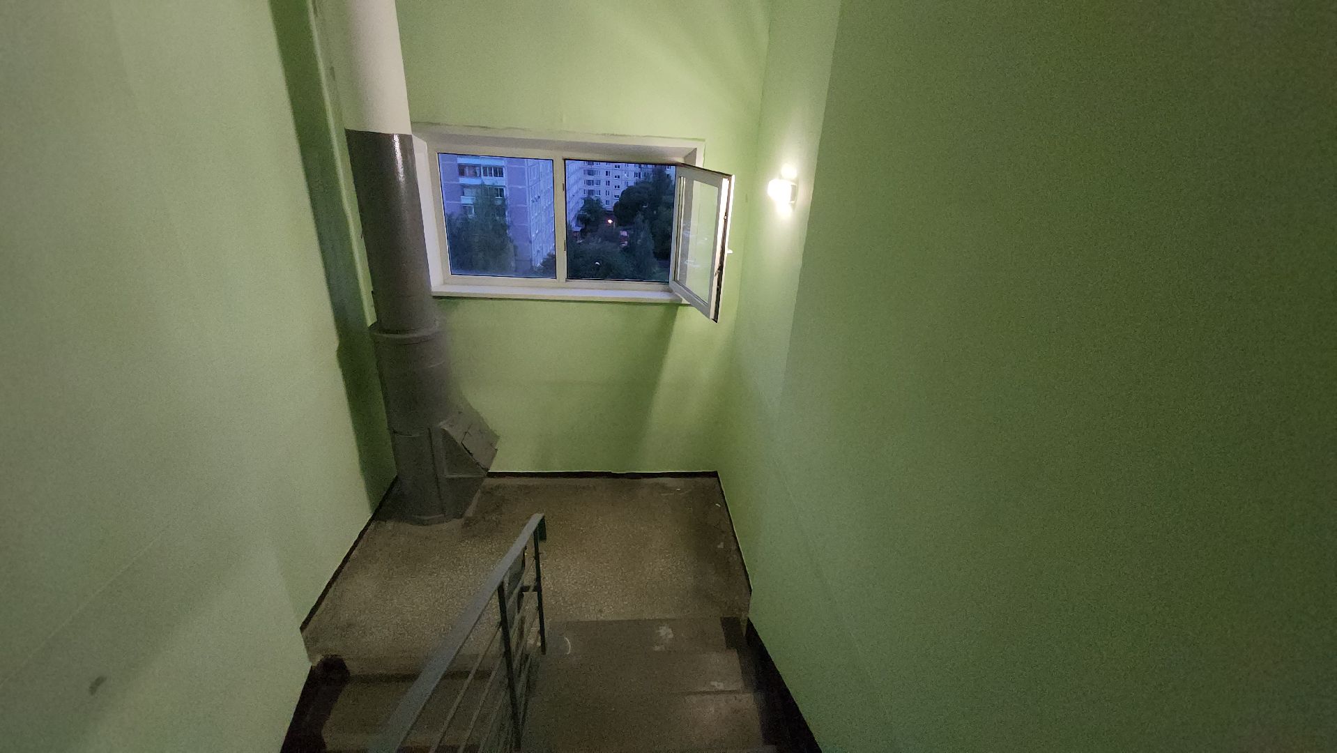 Кошки, Полиция, Лобня, Жестокое обращение с животными,