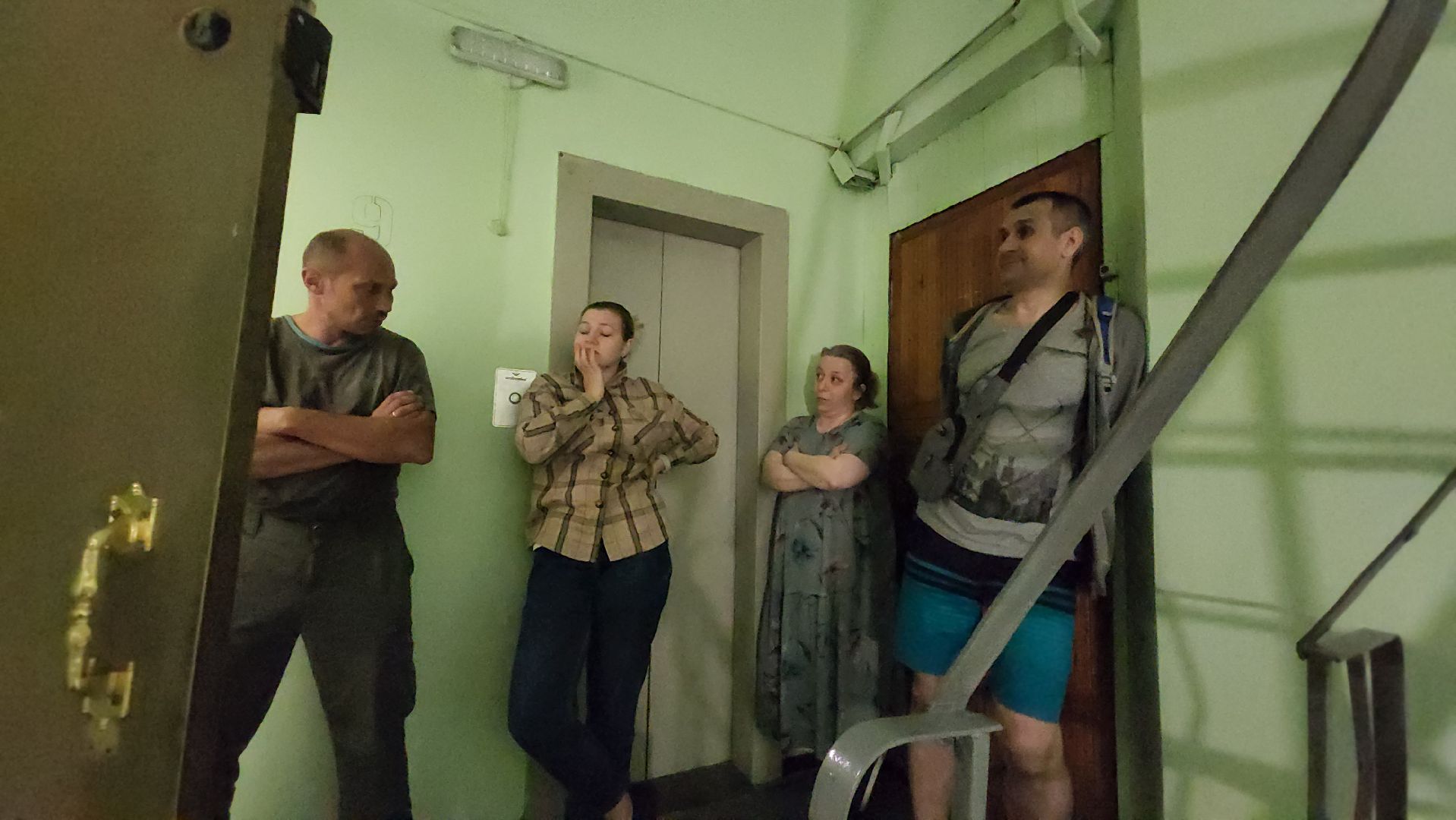 Кошки, Полиция, Лобня, Жестокое обращение с животными,