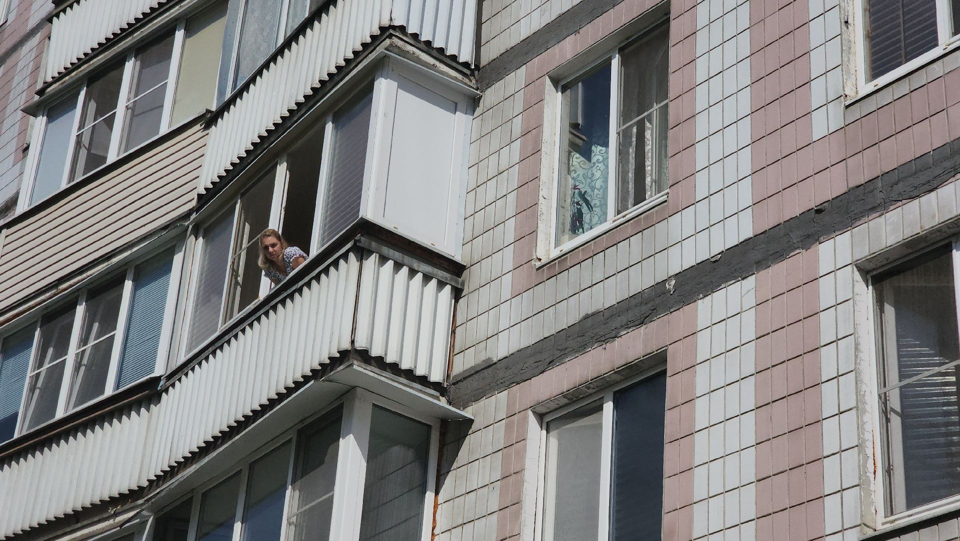 Зоозащитники, Кошки, Коты, Спасение, Лобня,