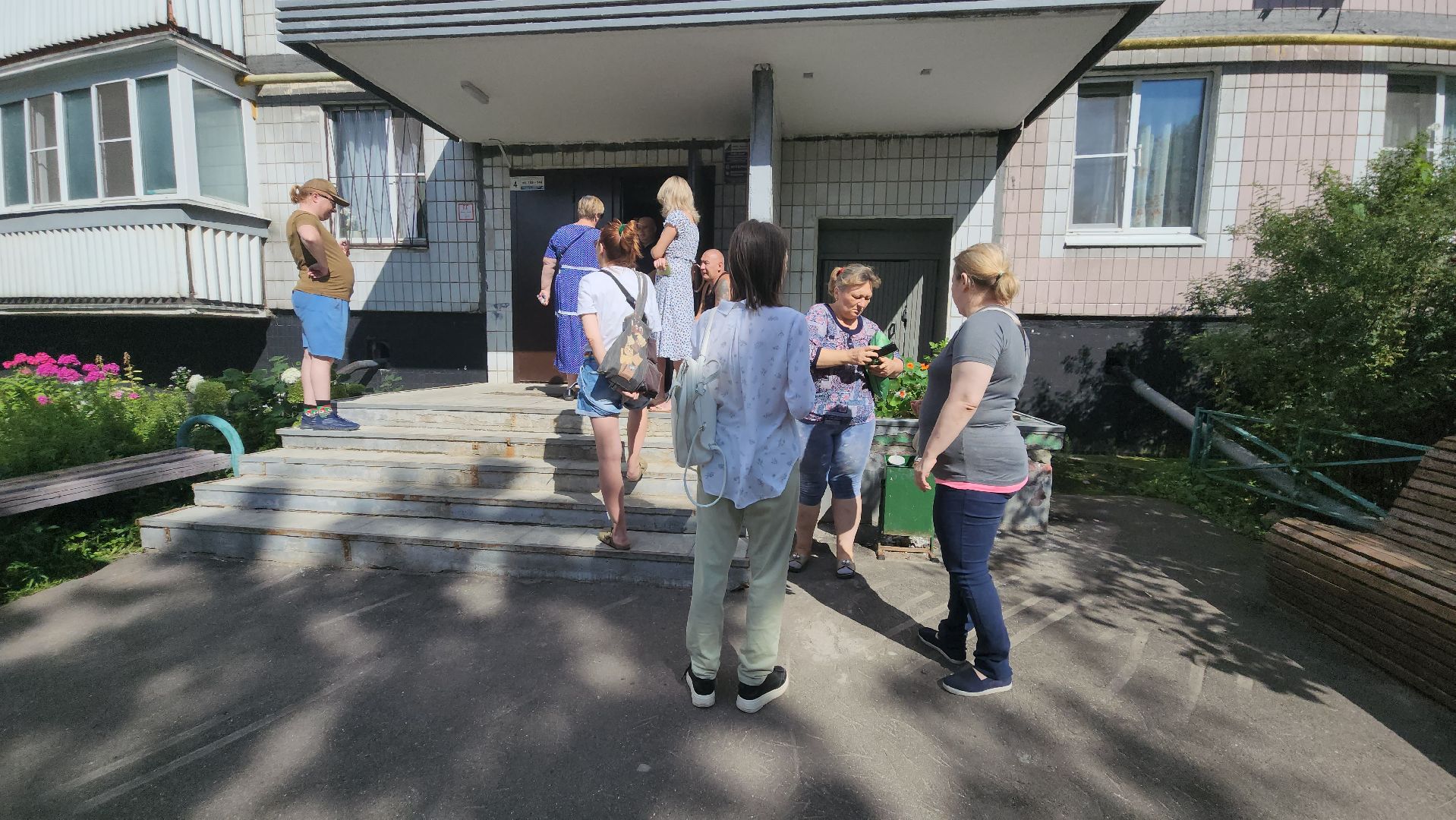 Зоозащитники, Кошки, Коты, Спасение, Лобня,