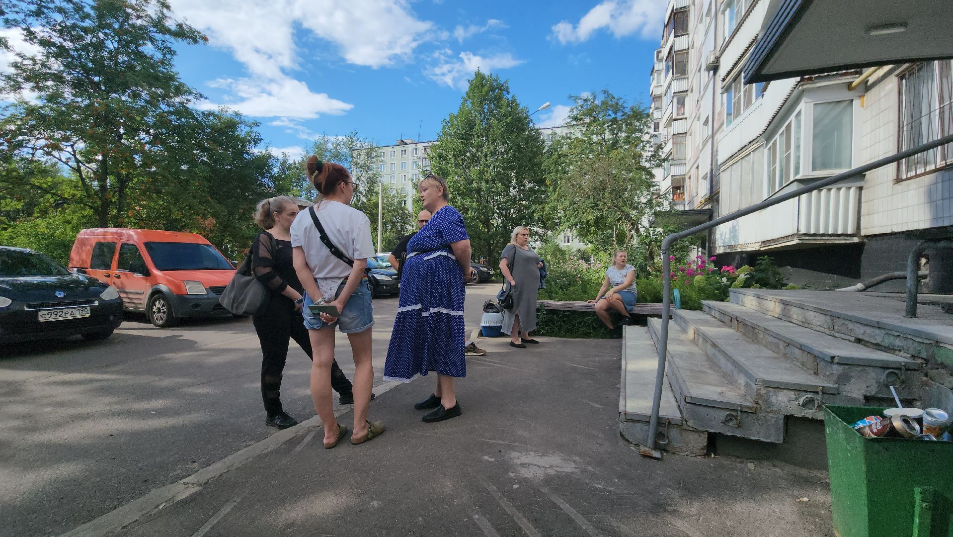 Зоозащитники, Кошки, Коты, Спасение, Лобня,