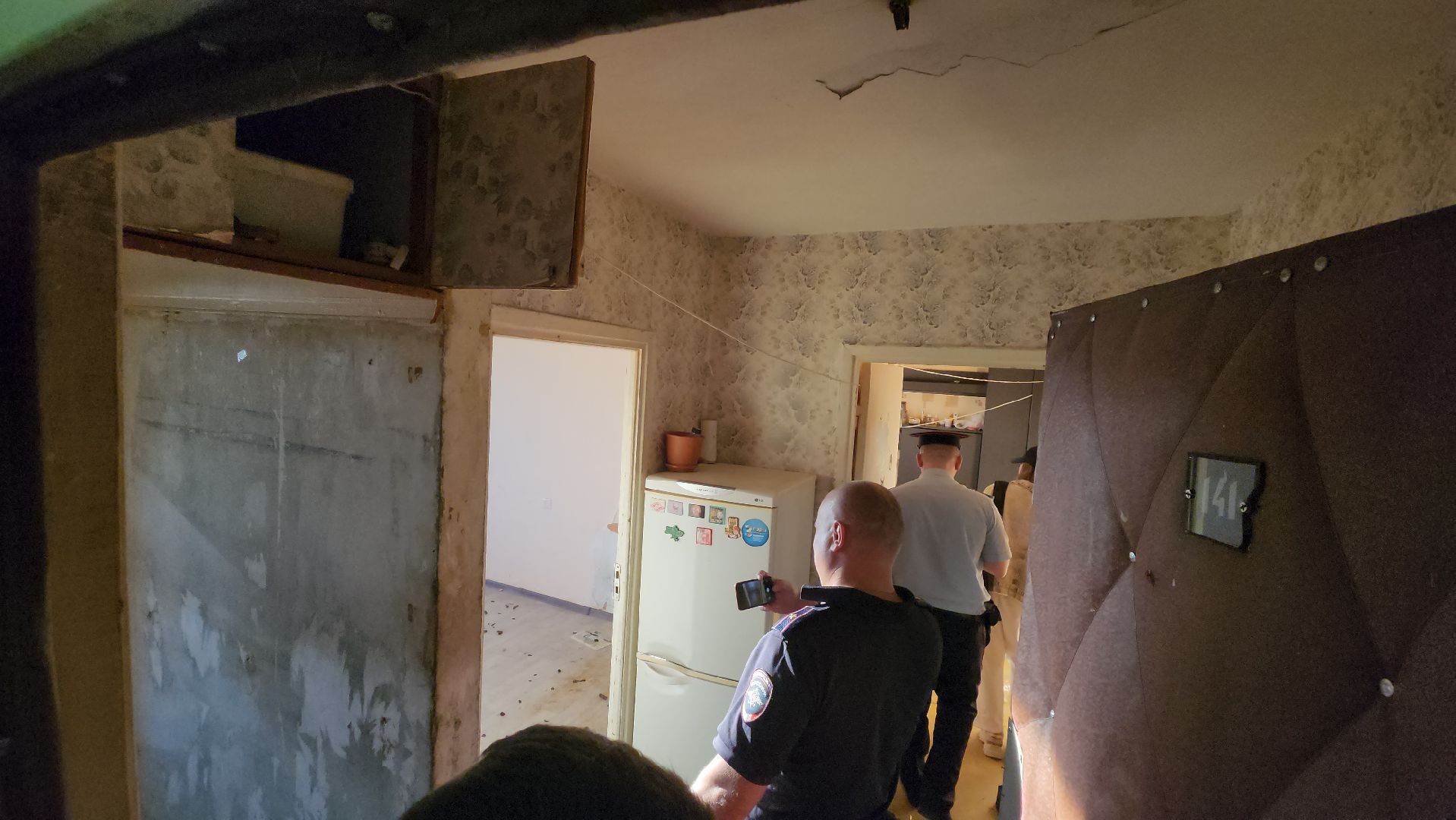 Зоозащитники, Кошки, Коты, Спасение, Лобня,