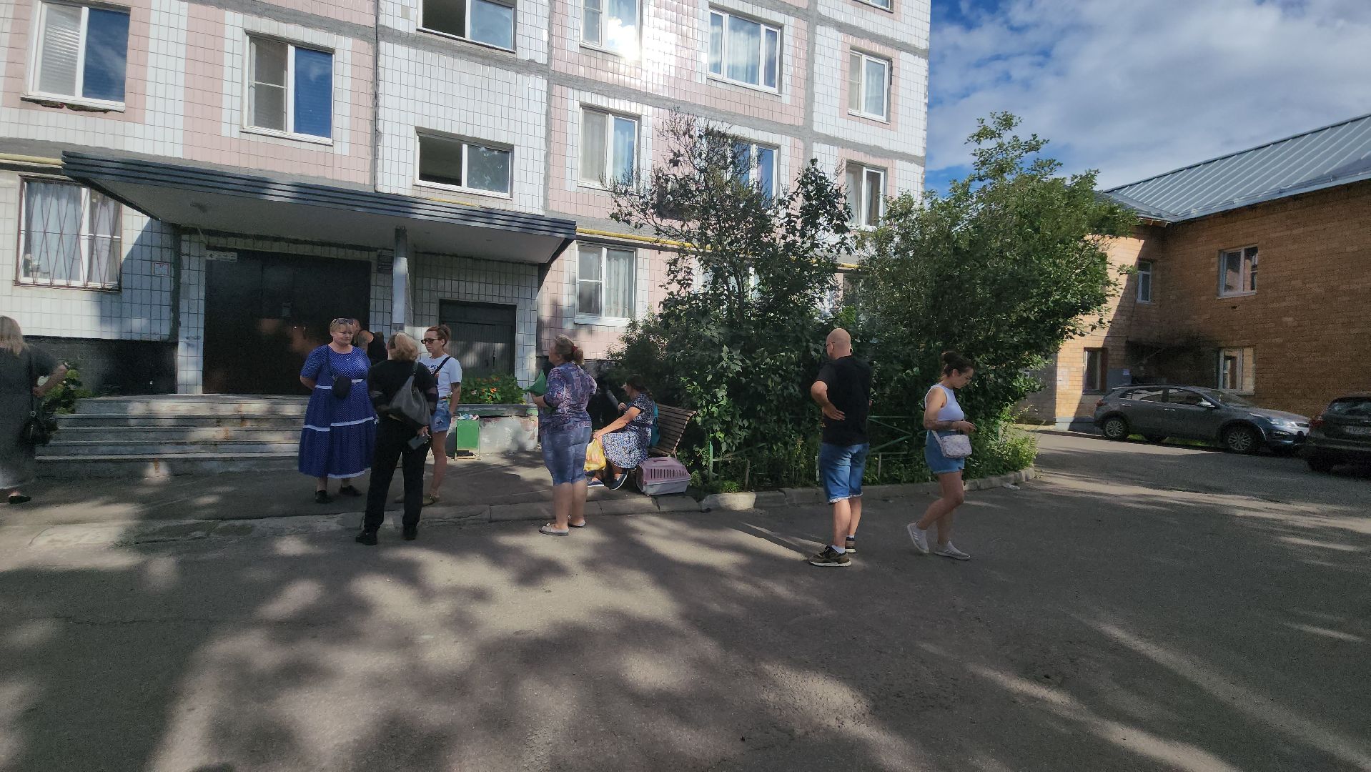 Зоозащитники, Кошки, Коты, Спасение, Лобня,