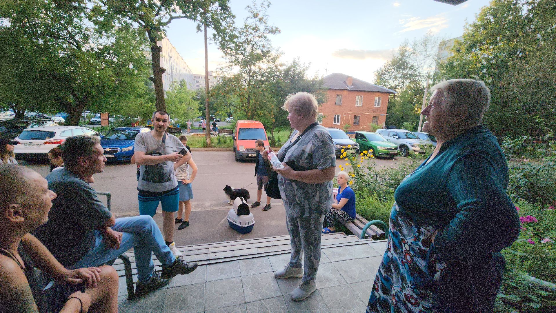 Зоозащитники, Кошки, Коты, Спасение, Лобня,