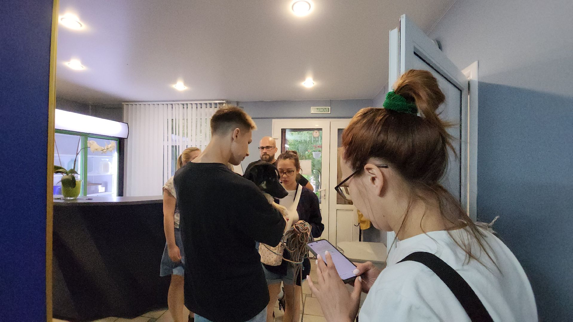 Животные, Лобня, волонтеры,