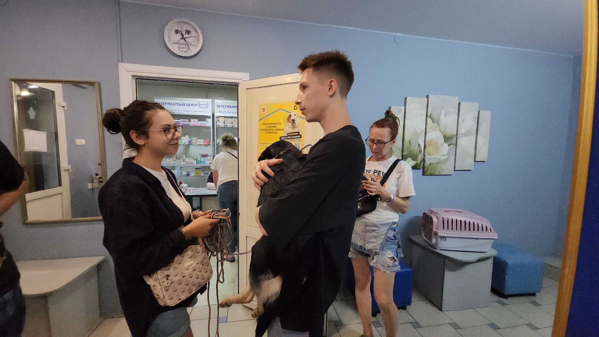 Животные, Лобня, волонтеры,