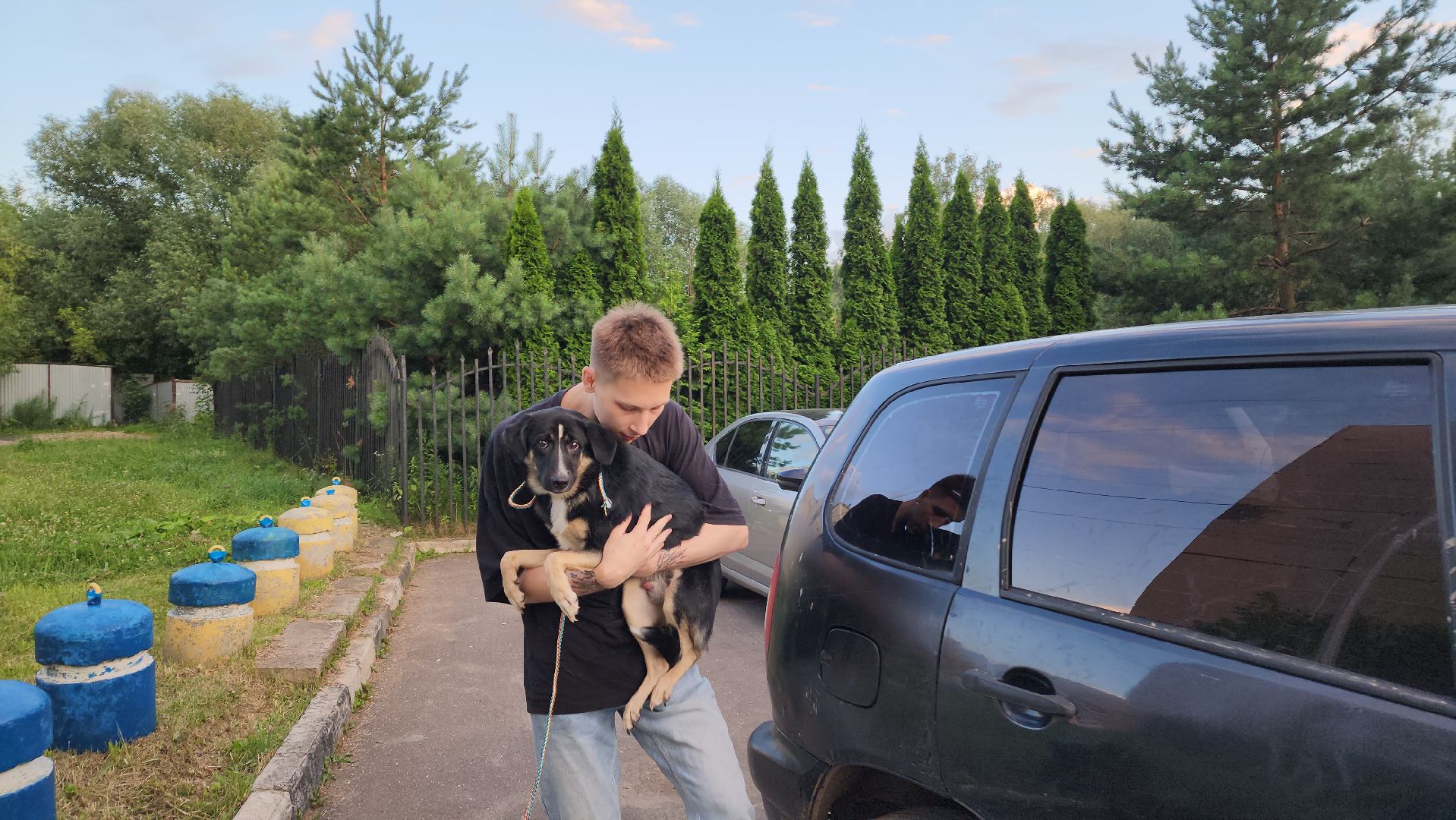 Животные, Лобня, волонтеры,