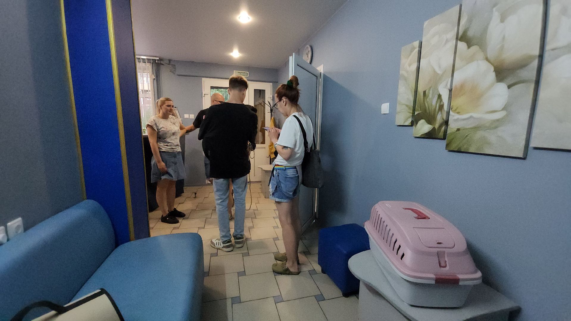 Животные, Лобня, волонтеры,