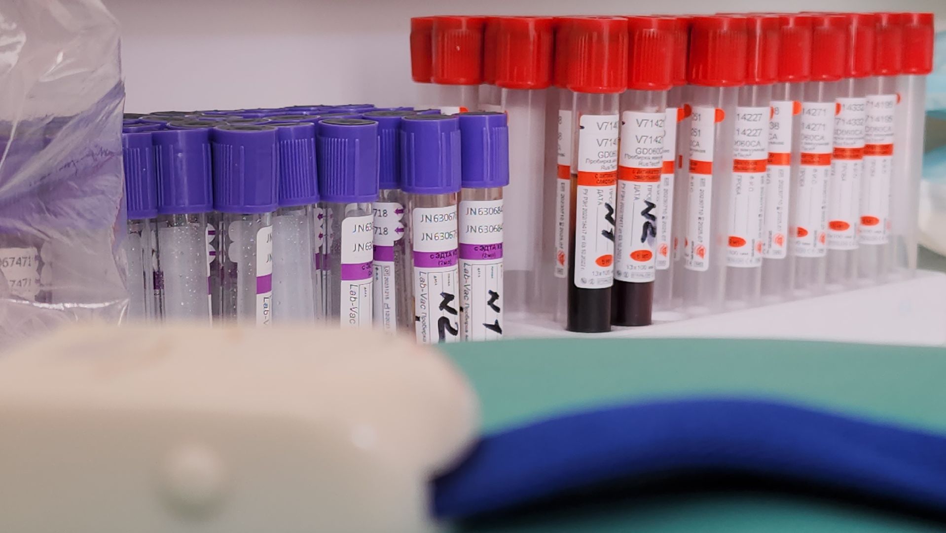 егорьевск, парк, медики, здоровье, диспансеризация,