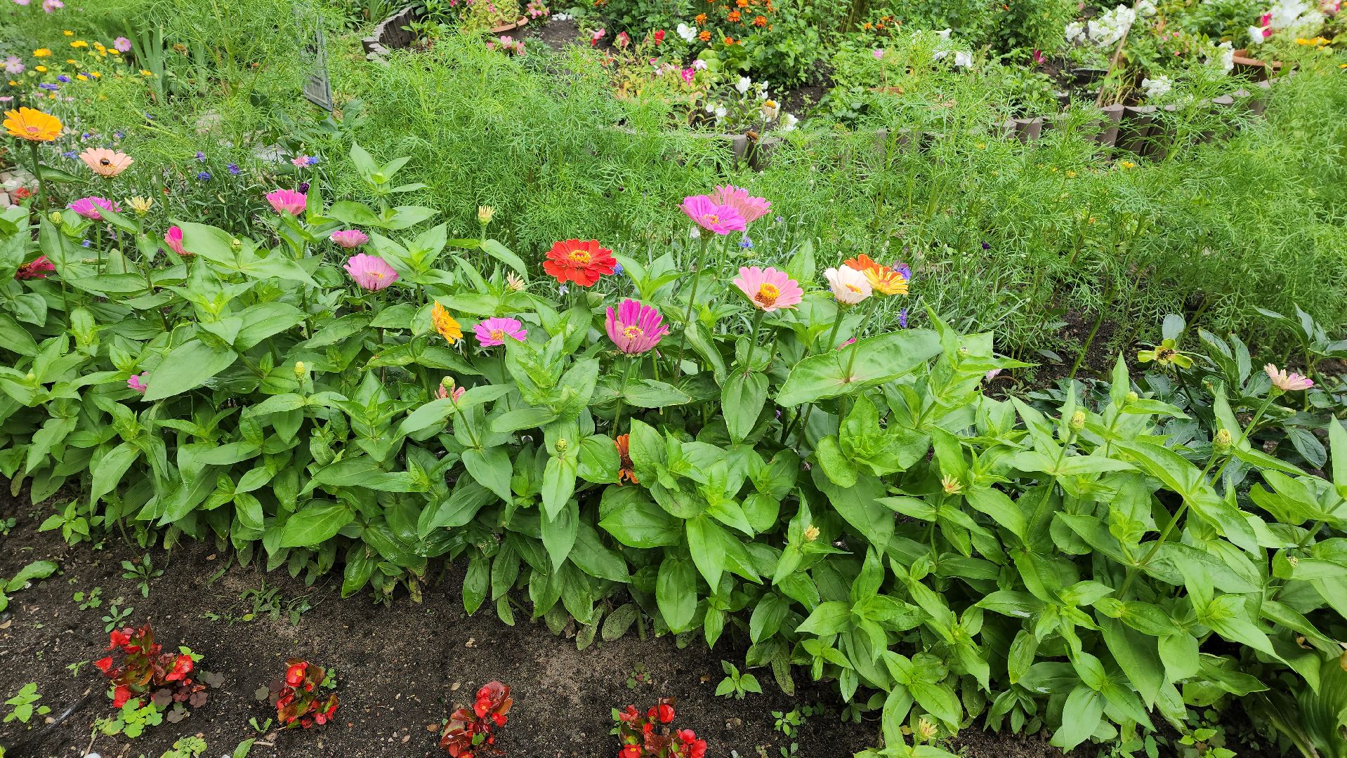 текущий ремонт, содержание территорий, управляющая компания,