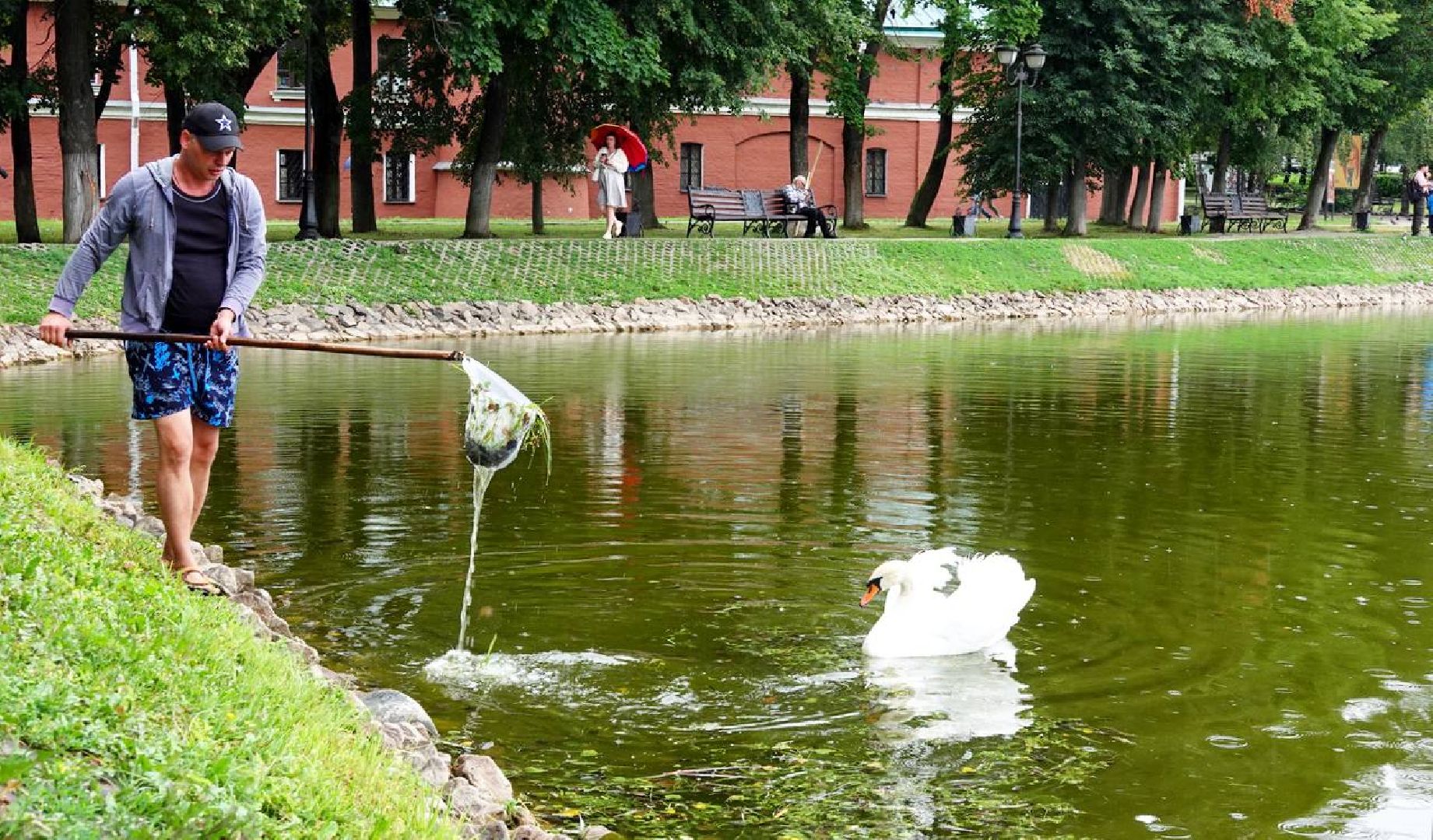 Экология, Сергиев Посад, Очистка прудов,